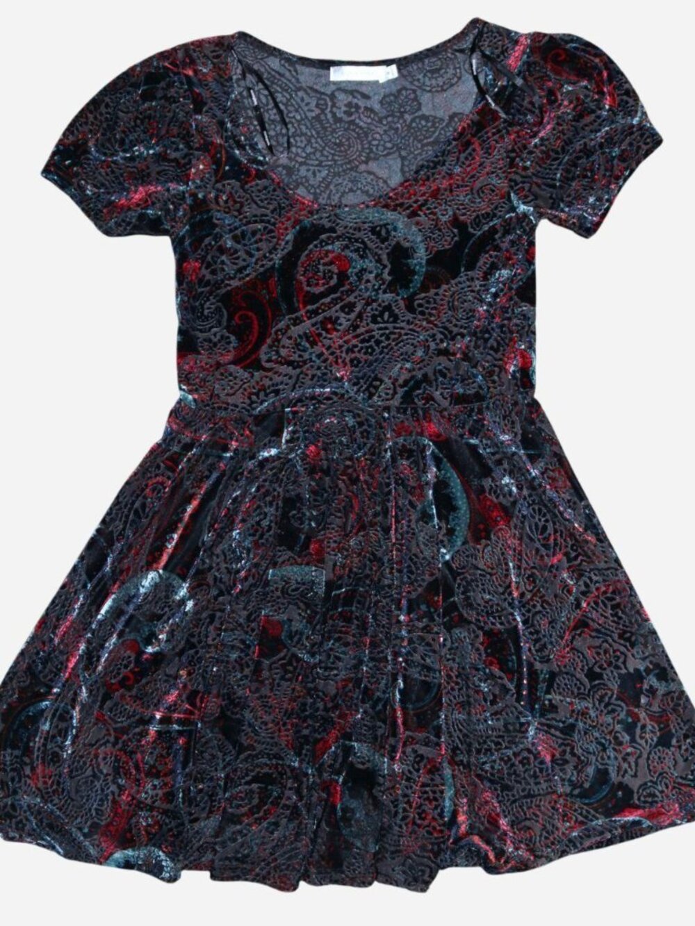 Vintage Paisley Velvet Dress